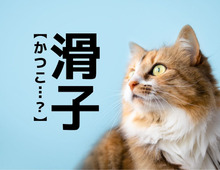 【滑子】は何と読む？「かつこ」ではありませんよ！ヒントは秋の味覚【読めそうで読めない漢字クイズ】