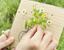 「段ボールの端っこ」で散歩が楽しい！海外で話題になった【小さなお花】の飾り方。