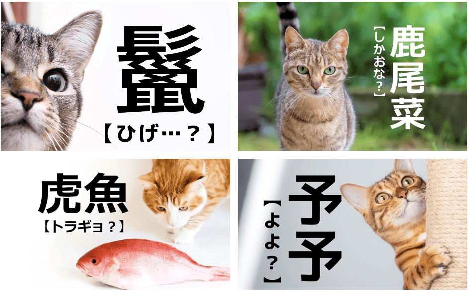 【難しい漢字に挑戦】あなたはいくつ読めるかな？難読漢字23選！