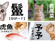 【難しい漢字に挑戦】あなたはいくつ読めるかな？難読漢字23選！