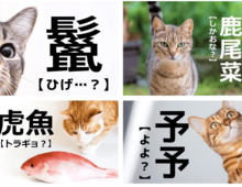 【難しい漢字に挑戦】あなたはいくつ読めるかな？難読漢字23選！