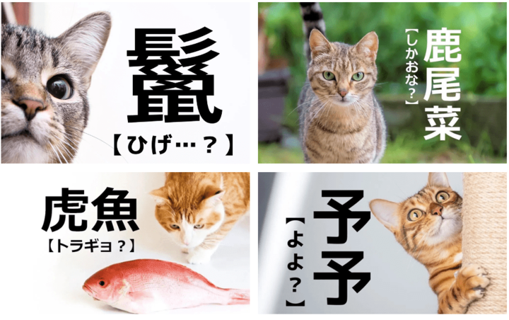 【難しい漢字に挑戦】あなたはいくつ読めるかな?難読漢字23選!
