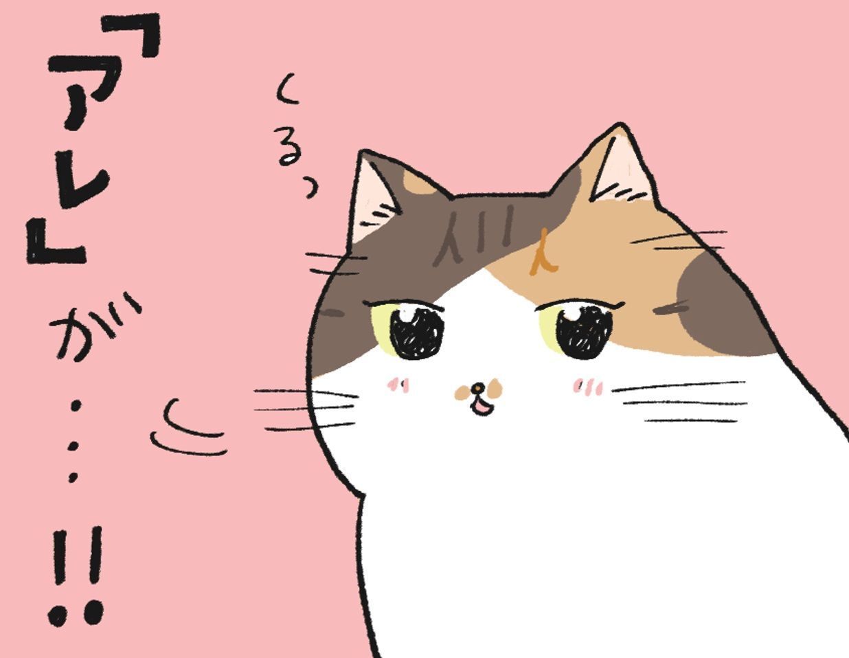 ねこたちがソワソワする日。【てらねこミー子の日常】