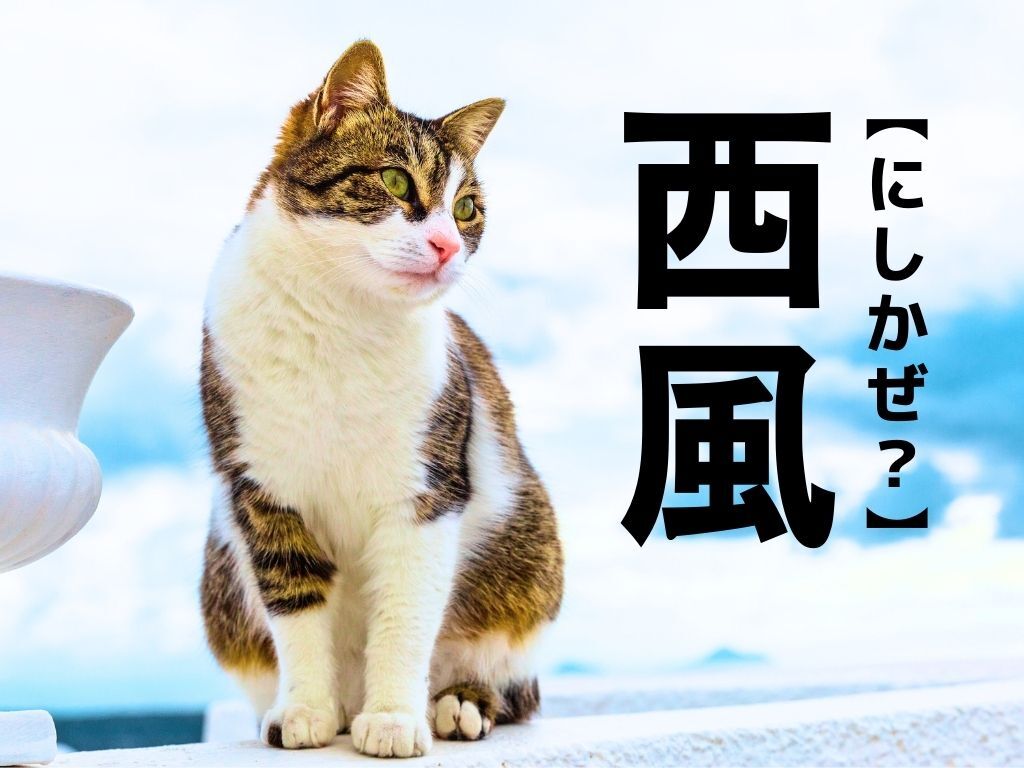 【西風】何と読む？「にしかぜ」でも「せいふう」でもない、まさかな読み方とは！【漢字クイズ】