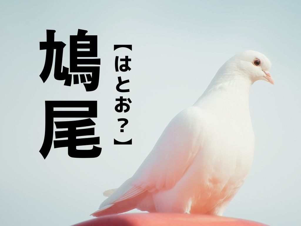 【鳩尾】なんて読む？「はとお」ではありません。実は、体の「部位」を表す言葉です【難読漢字クイズ】