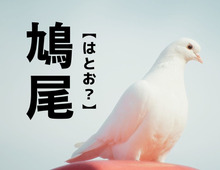 【鳩尾】なんて読む？実は、体の「ある部位」を表す言葉。どこかわかりますか…？【難読漢字クイズ】