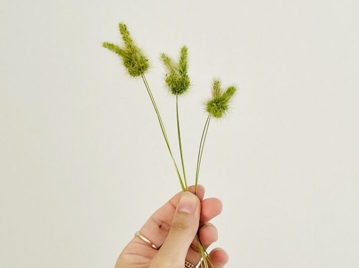 「猫じゃらし」で遊ぼう!可愛い〈うさぎ〉の作り方