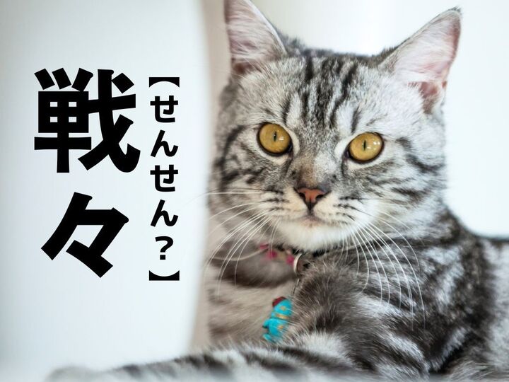【戦々】なんて読む?「せんせん」ではありませんよ!【読めそうで読めない漢字クイズ】