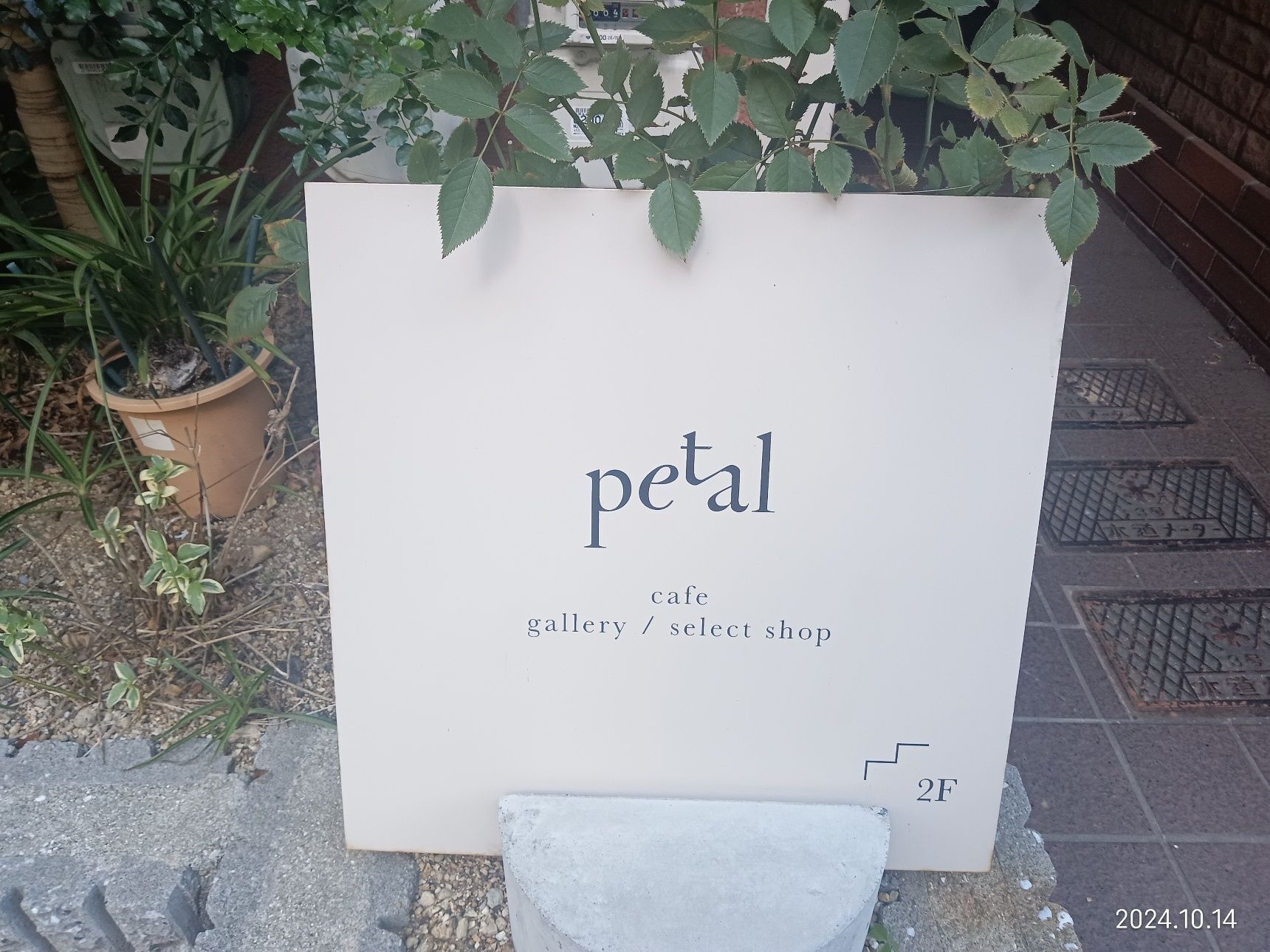 【今日のespresso break】花隈 Petal