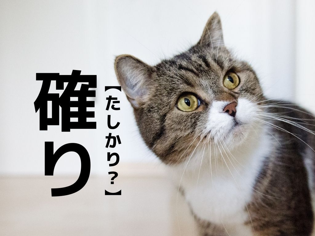 【確り】なんて読む？「かくり」でも「たしかり」でもありませんよ！【読めそうで読めない漢字クイズ】