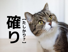 【確り】の読み方知ってる？「かくり」でも「たしかり」でもありませんよ！【読めそうで読めない漢字クイズ】