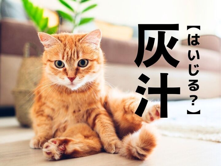 【灰汁】を「はいじる」と読んだら笑われます!【読めないと恥ずかしい漢字クイズ】