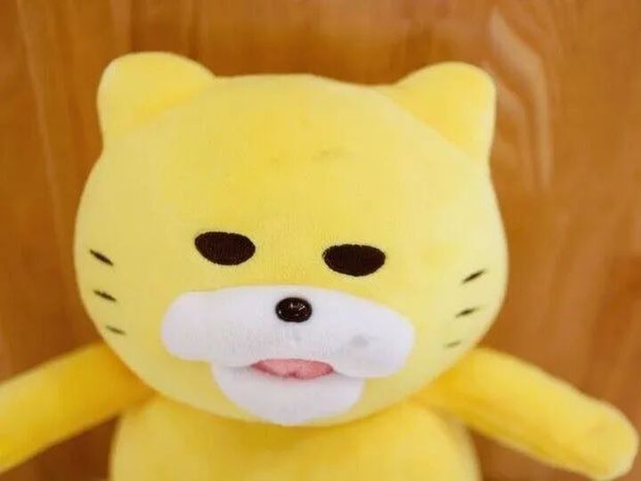 洗いません!ぬいぐるみの汚れは「振るだけ」できれいになっちゃいます♡【やってみた】