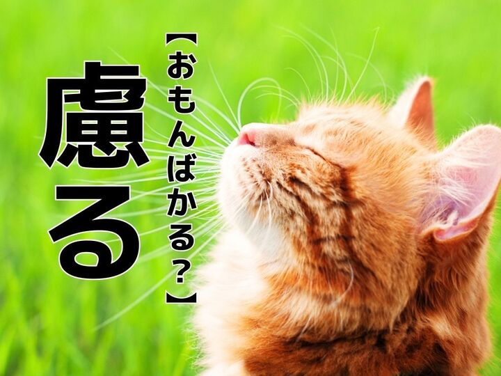 【慮る】なんて読む?「おもんばかる」…ではない!?【読めそうで読めない漢字クイズ】