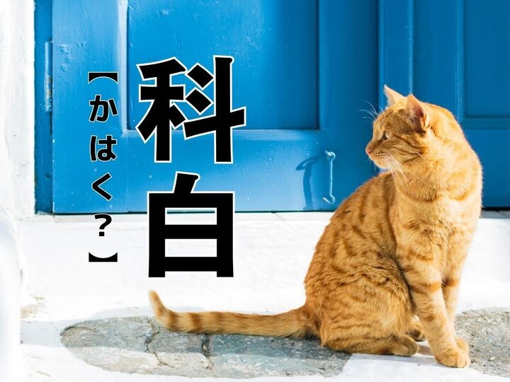【科白】なんて読む?「かはく」ではありませんよ!【読めそうで読めない漢字クイズ】