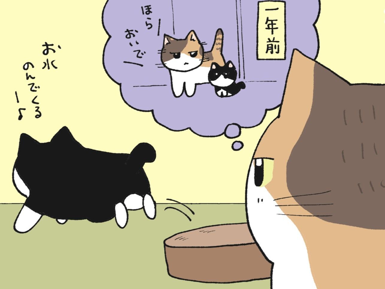 家族って、似るものなのね。【てらねこミー子の日常】