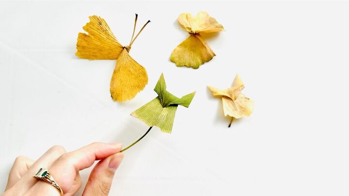 お散歩中にイチョウの葉っぱを見つけたときは!見た目かわいい昔ながらの落ち葉遊び