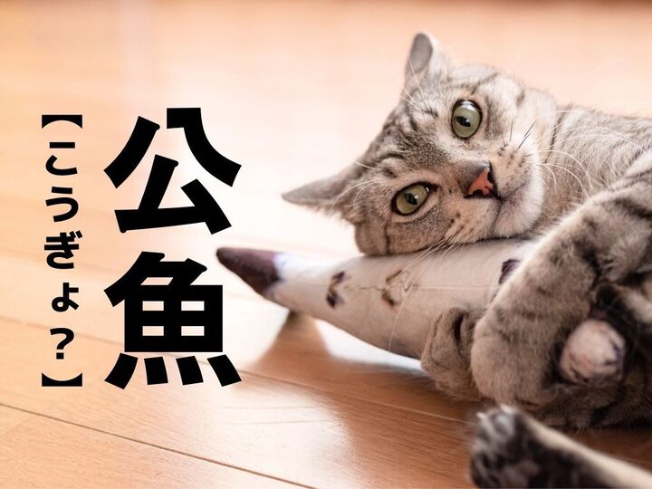 【公魚】なんて読む?天ぷらにするとおいしいお魚です【読めそうで読めない漢字クイズ】