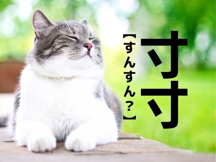 【寸寸】なんて読む?「すんすん」ではありませんよ!【読めそうで読めない漢字クイズ】