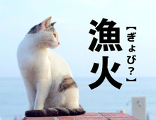 【漁火】なんて読む？「ぎょび」ではありませんよ。ヒントは「イカ」！？【意外と読めない漢字クイズ】