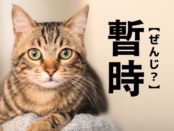 【暫時】は「ぜんじ」「ざんじ」どっちが正解?意外と間違えているかも…!【読めそうで読めない漢字クイズ】