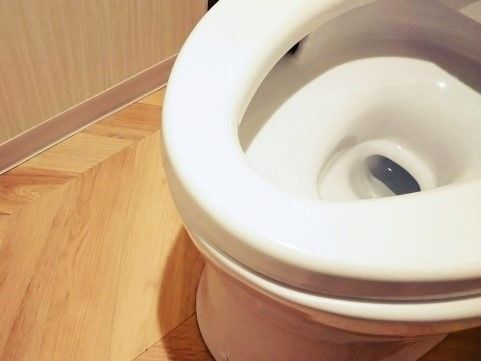 トイレ便器の「ガビガビ汚れ」は&quot;5分放置&quot;で流すだけ！フチ裏汚れをスッキリ落とすイチオシ洗剤も