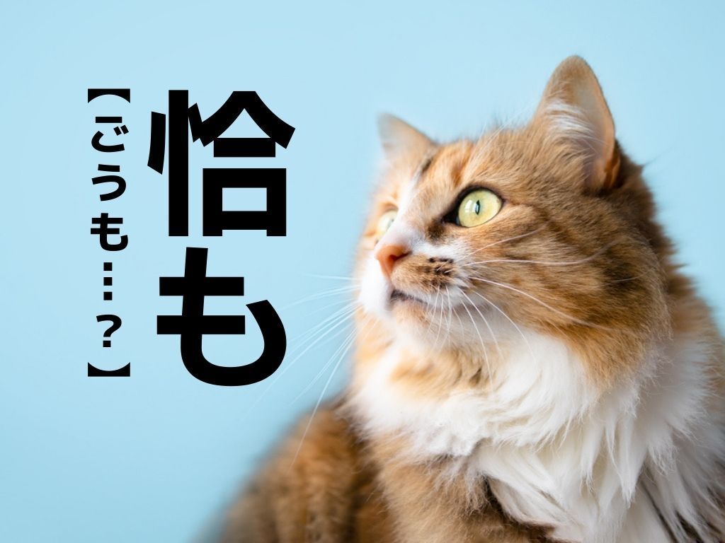 【恰も】なんて読む？まさか漢字が存在していたとは…！「まるで」「ちょうど」に似た言葉です【読めそうで読めない漢字クイズ】