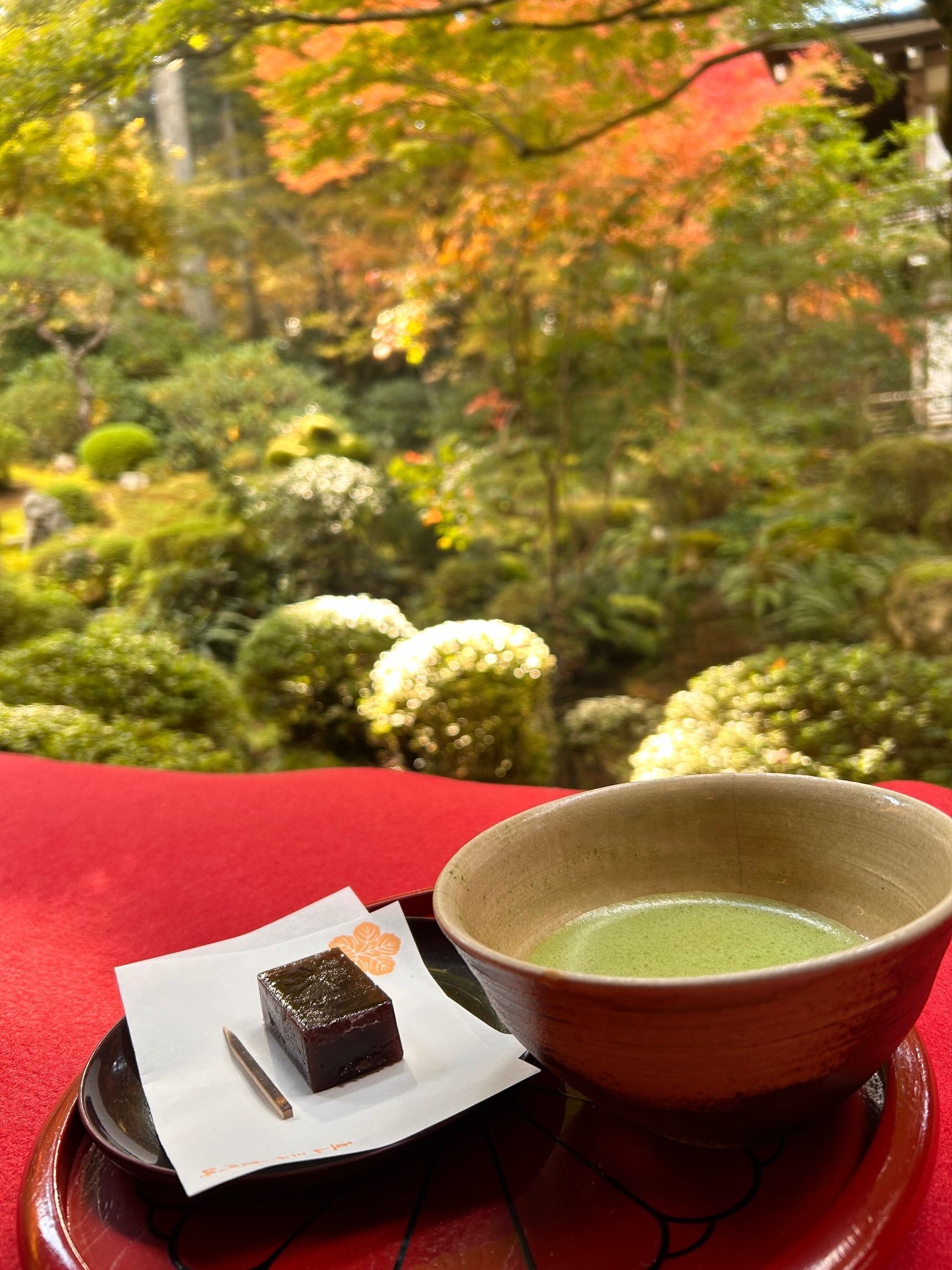 秋の京都へ！大原三千院☆バスに乗って出かけよう