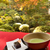 秋の京都へ！大原三千院☆バスに乗って出かけよう