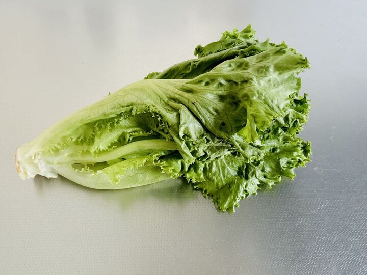 しなびた野菜の復活術3選!そのまま捨てちゃうのはもったいない。すぐできる裏ワザをご紹介