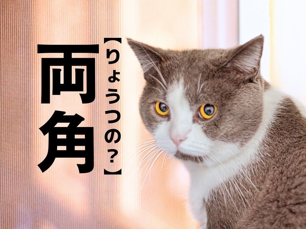 【両角】なんて読む？「りょうつの」ではありません。中部地方の県発祥の難読苗字です｜漢字クイズ