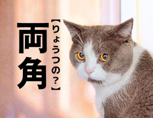 【両角】なんて読む？「りょうつの」ではありません。中部地方の県発祥の難読苗字です｜漢字クイズ