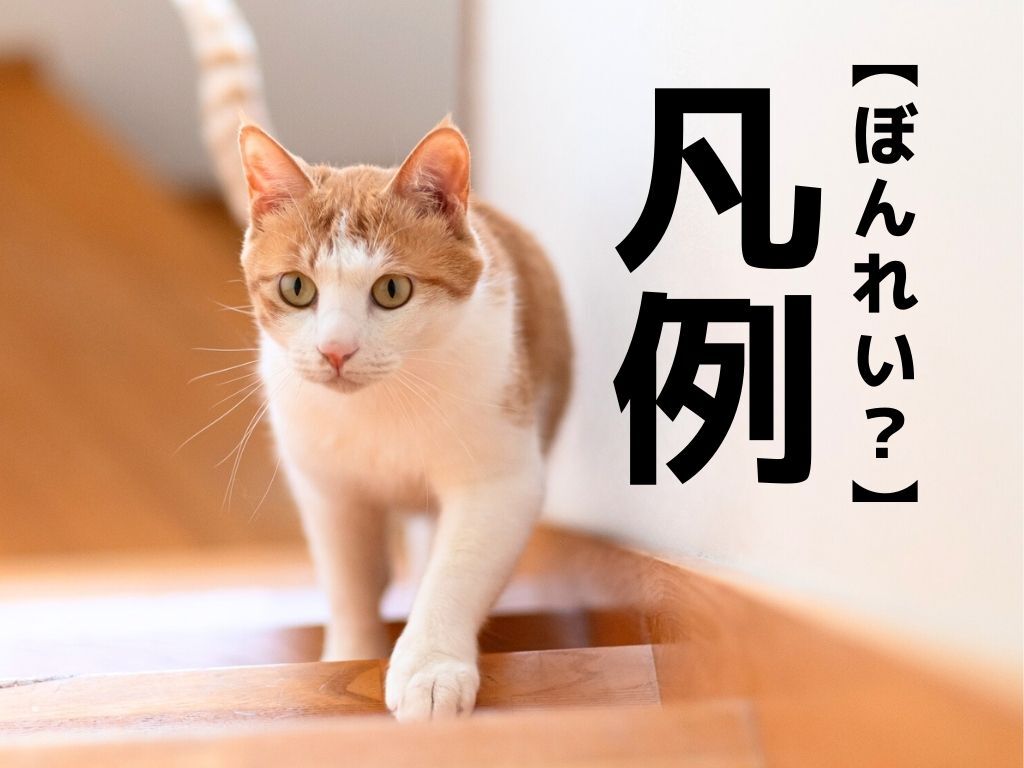 【凡例】なんて読む？「ぼんれい」ではありませんよ！【意外と間違えがちな漢字クイズ】