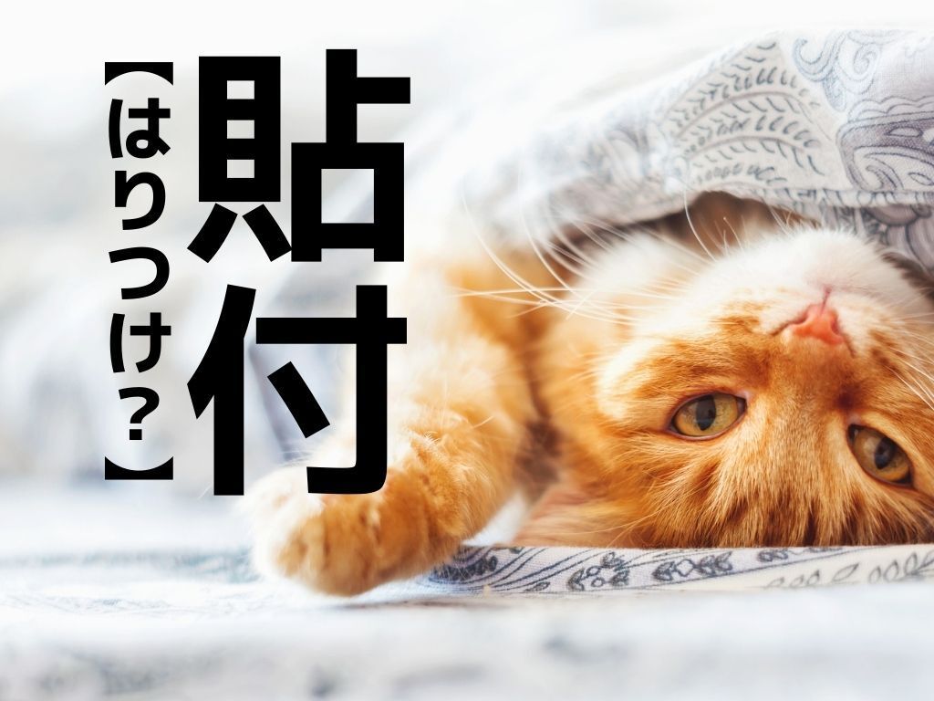 【貼付】なんて読む？「てんぷ」でも「はりつけ」でもありませんよ！【読めそうで読めない漢字クイズ】