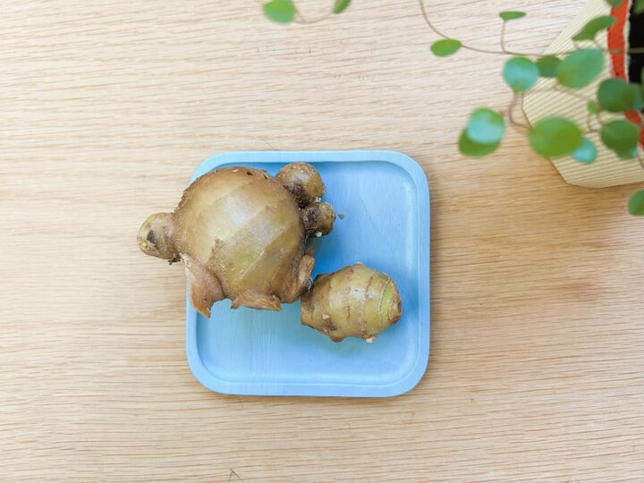 ショウガは冷蔵庫に入れない?!専門店が伝授する保存方法&レシピが目ウロコだった!