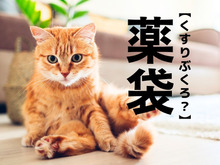 【薬袋】は「くすりぶくろ」ではありません。実在する苗字ですが何と読む？【難読漢字クイズ】