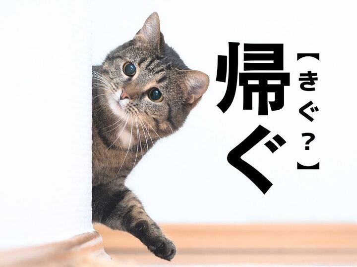 【帰ぐ】なんて読む?「きぐ」ではありませんよ!【読めそうで読めない漢字クイズ】