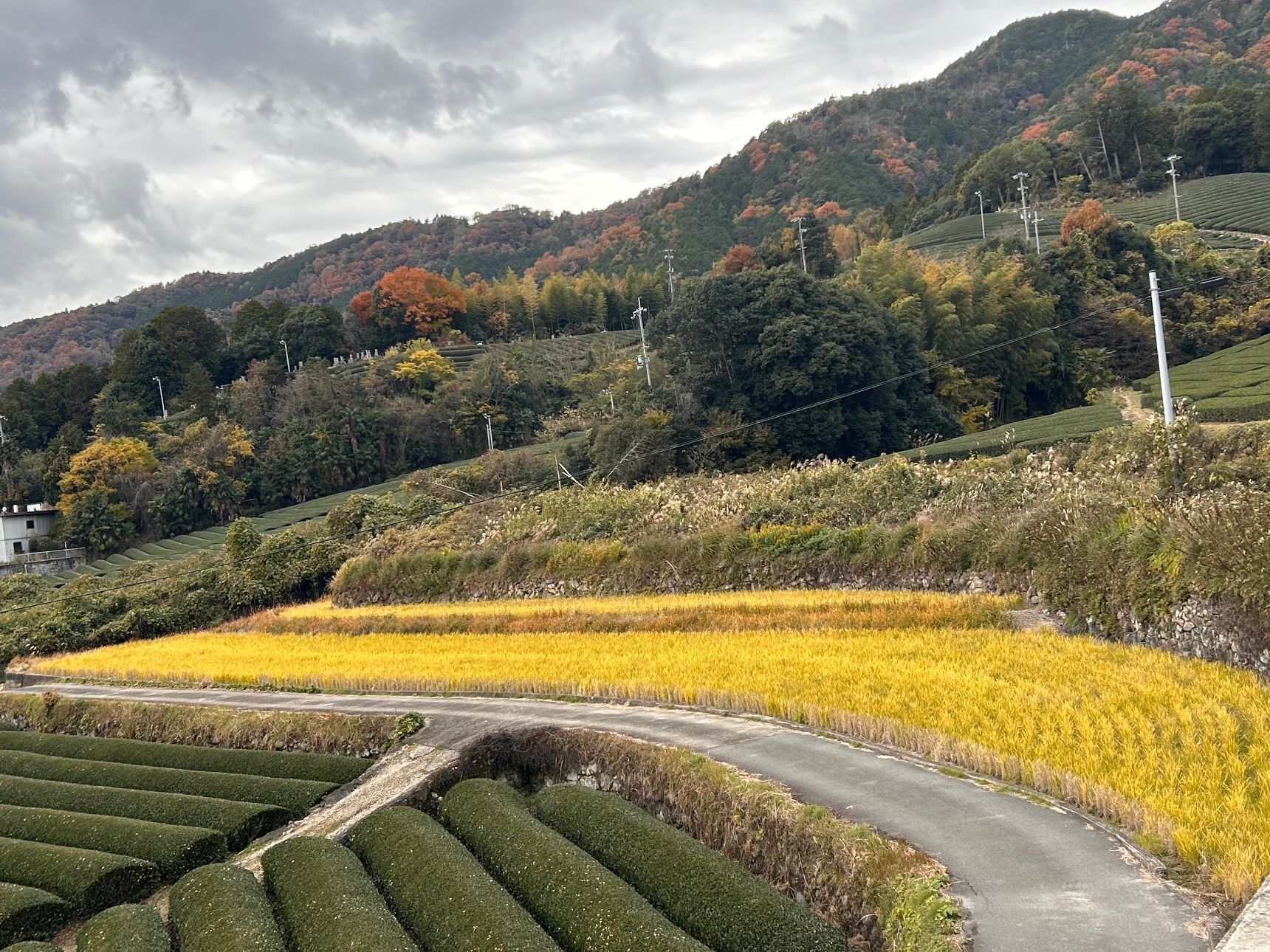 駐車場側から見える風景