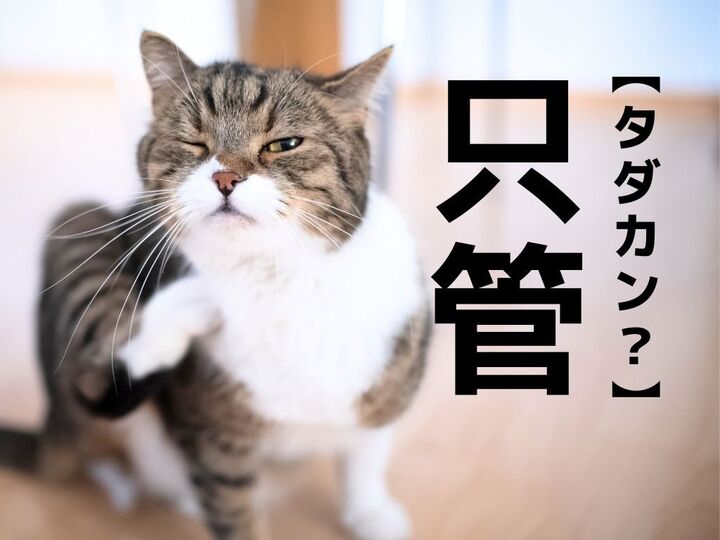 【只管】なんて読む?「タダカン」ではありませんよ!【読めそうで読めない漢字クイズ】