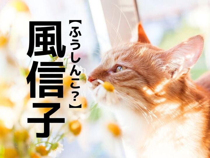 【風信子】の読み方わかる?「ふうしんこ」ではありませんよ!【読めたらスゴイ!漢字クイズ】