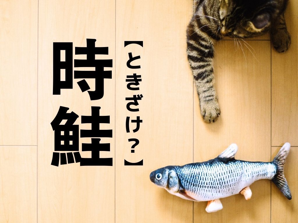 【時鮭】は「トキザケ」と読まない！？答えを知ると→「なんて風流なんだ」「由来に納得だわ」〈漢字クイズ〉　