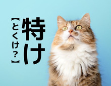 【特け】なんて読む？「とくけ…？」ではありません。まさかな読み方とは【読めそうで読めない漢字クイズ】