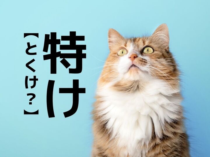 【特け】なんて読む?「とくけ…?」ではありません。まさかな読み方とは【読めそうで読めない漢字クイズ】