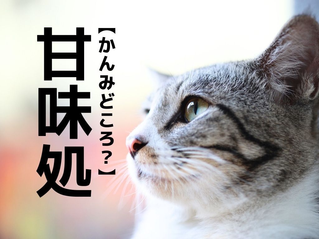 【甘味処】は「かんみどころ」ではない！？本来の読み方知ってますか？【意外と知らない漢字クイズ】