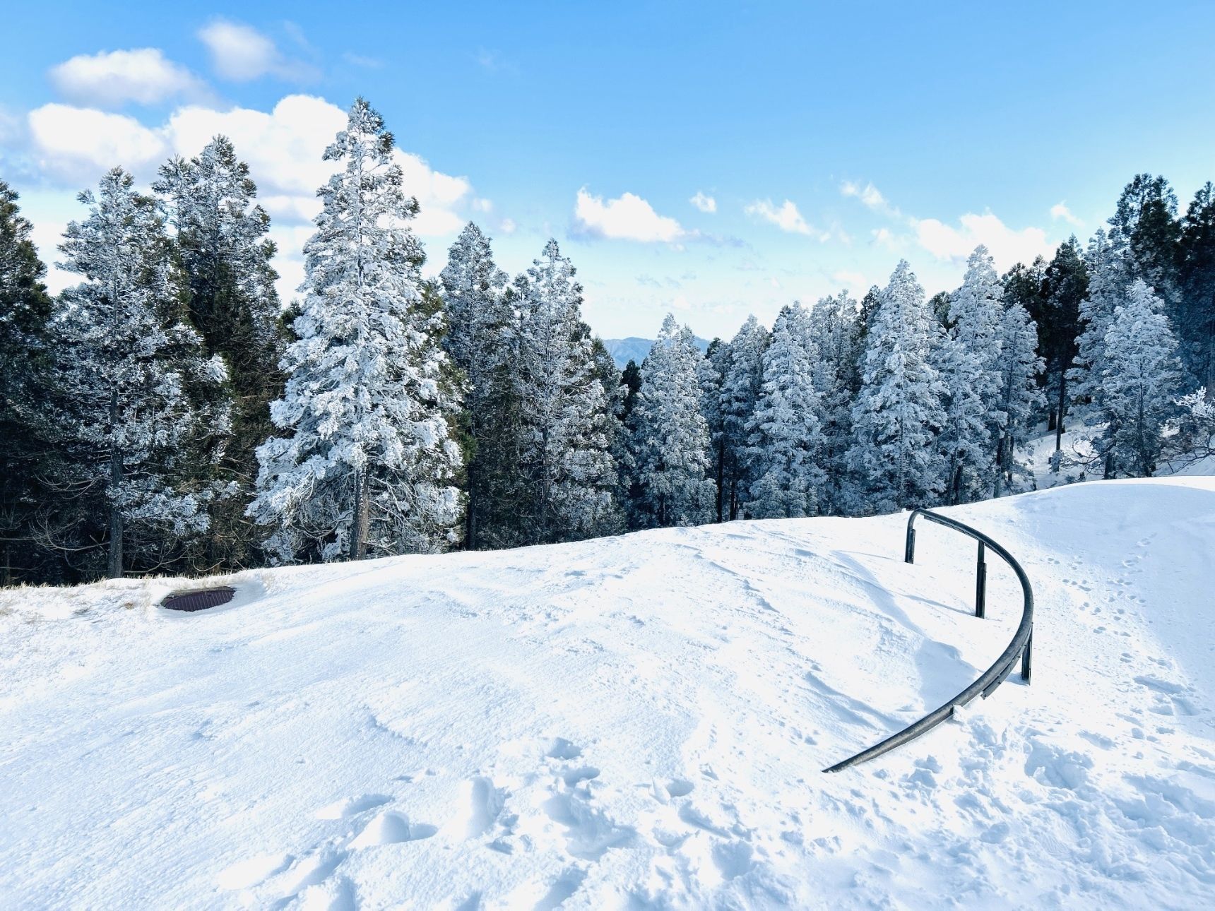 日本でいちばん南にある…【南国だけど雪国】3年ぶりに再開！