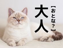 【大人】＝「おとな」ではありません！「大人1000円、小人500円」の読み方知ってる？【意外と知らない漢字クイズ】