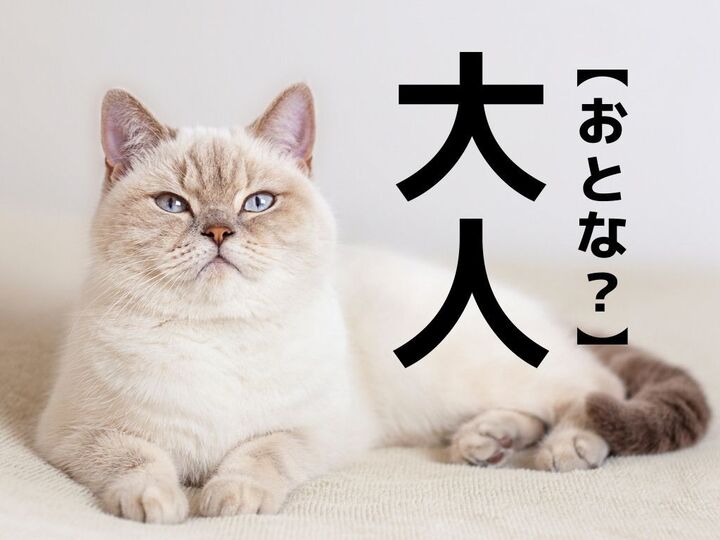 【大人】=「おとな」ではありません!「大人1000円、小人500円」の読み方知ってる?【意外と知らない漢字クイズ】