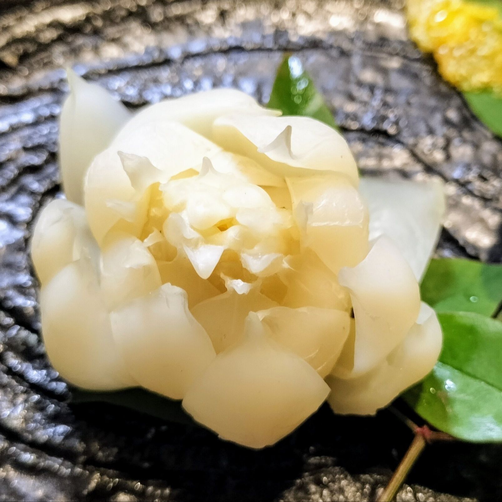 花のように美しい！畑の白い宝石！甘い！キメが細かく透明感！しっとりもっちり！ゆりね！おひたし！縁起物