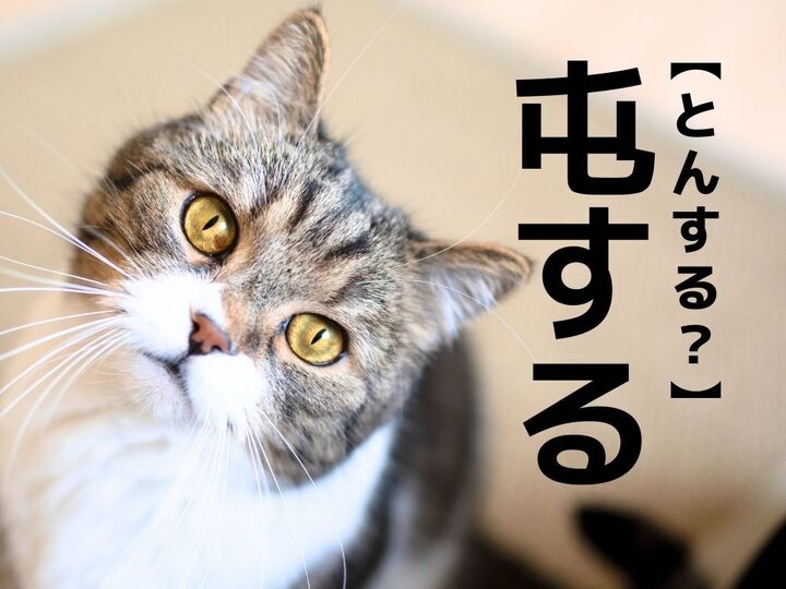 【屯する】なんて読む?「とんする」ではありませんよ!ヒントは"ガラが悪そう"な言葉!?【読めそうで読めない漢字クイズ】