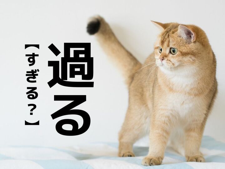 【過る】を「すぎる」と読んだら笑われる!?まさかな読み方とは【読めそうで読めない漢字クイズ】